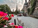 IMG_9315 Kopie.jpg
