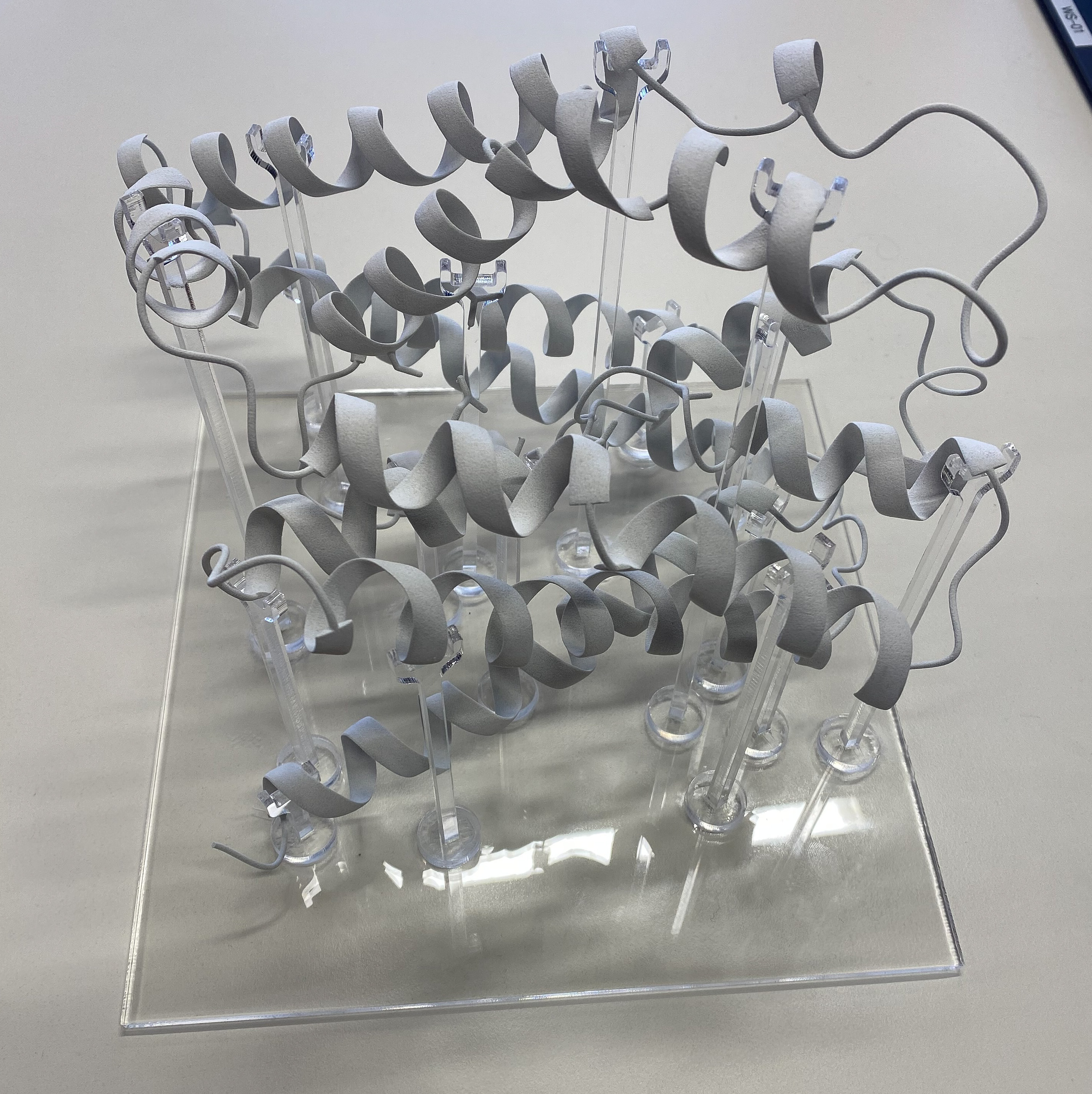 protein-schaumodell-1_edited.jpg