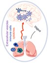 Logo-Lung_Brain-Axis-Rummel-160222.jpg