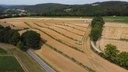 Bild zur PM 04.07.2024 - Agroforst