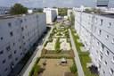 Bild zur PM 09.08.2024 - Lisa Kaufmann promoviert als erste Architektin an der THM 2