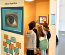 Bild zur PM vom 05.06.2025 - Ergebnisse der Wahrnehmungsstudie im Mathematikum zeigen, auch sehen will gelernt sein