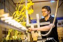 Bild zur PM vom 29.09.2025 - FCMH-Forschungsteam nutzt Terahertz-Spektroskopie, um den Wasserhaushalt von Blättern sichtbar zu machen