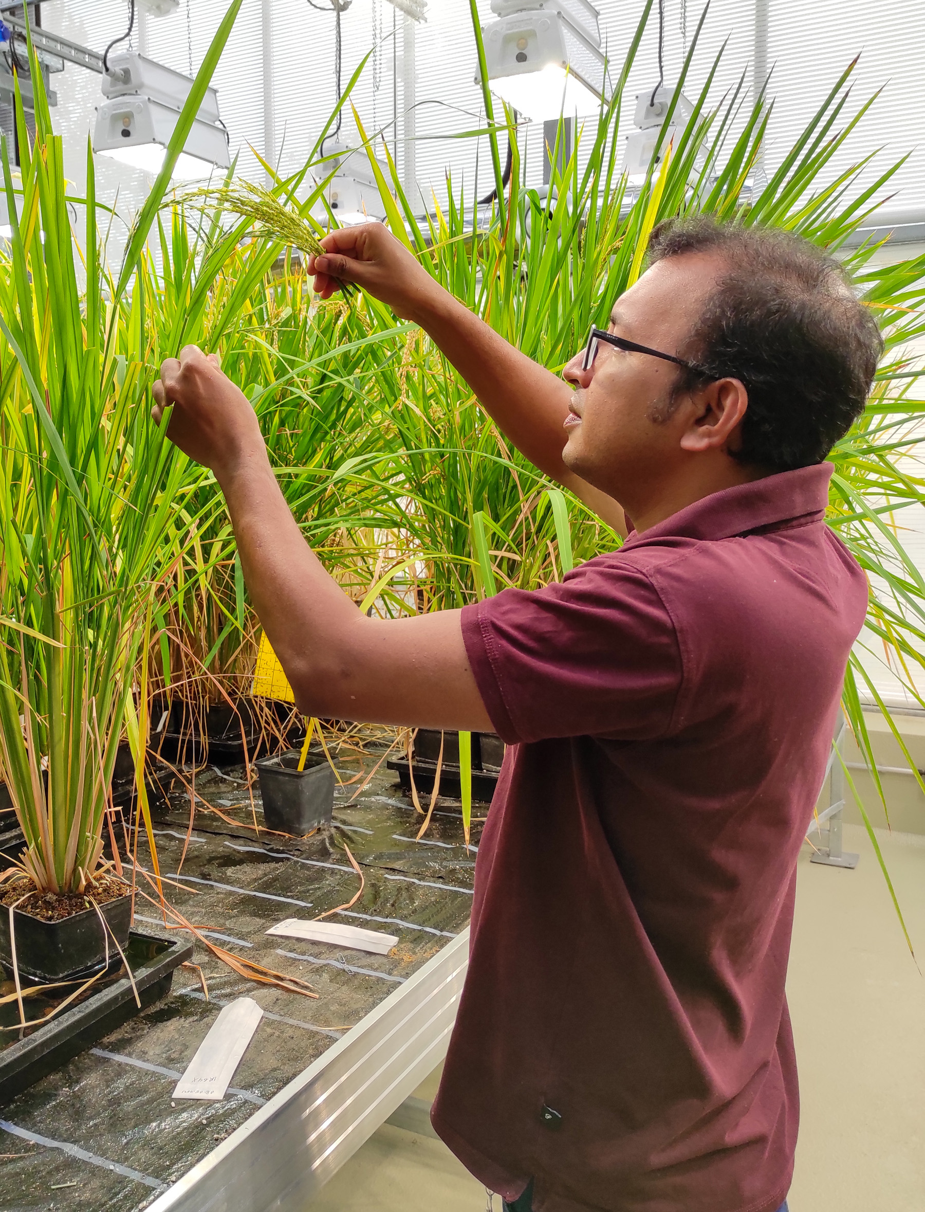 Bild zur PM vom 9.12.2025 - Kreuzung Reislinien