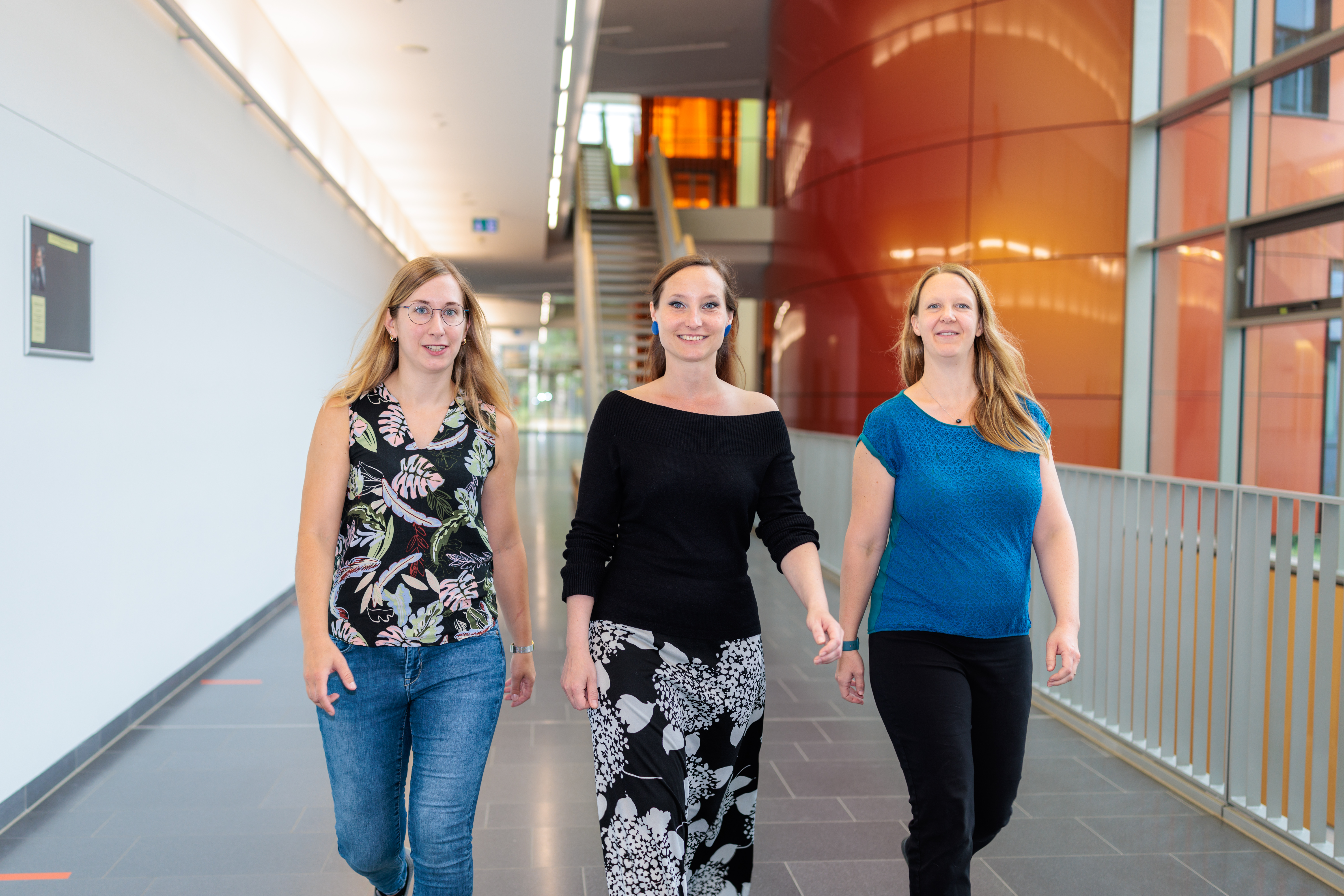 erc_forschungs-tripple-umr.jfif