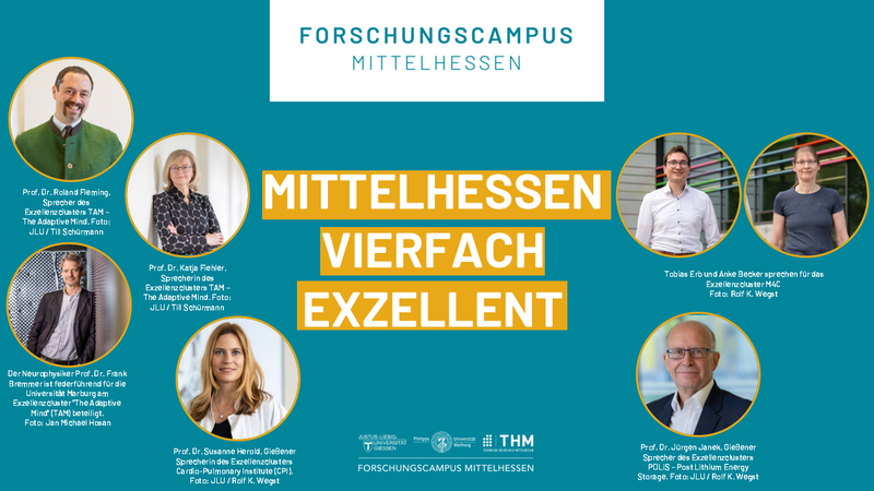 exstratvierfach.png