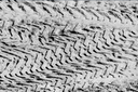 TraCe_csm_Spuren_im_Sand_6_SW_1c39e17439_Quelle Pixabay_bearbeitet.png