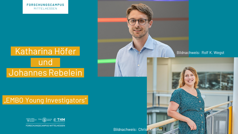 2024-12-03_EMBO Young Investigators_NL_#8.png