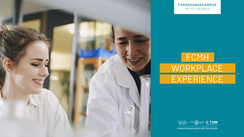 2024-12-04_Workplace_Experience_NL_#8.png