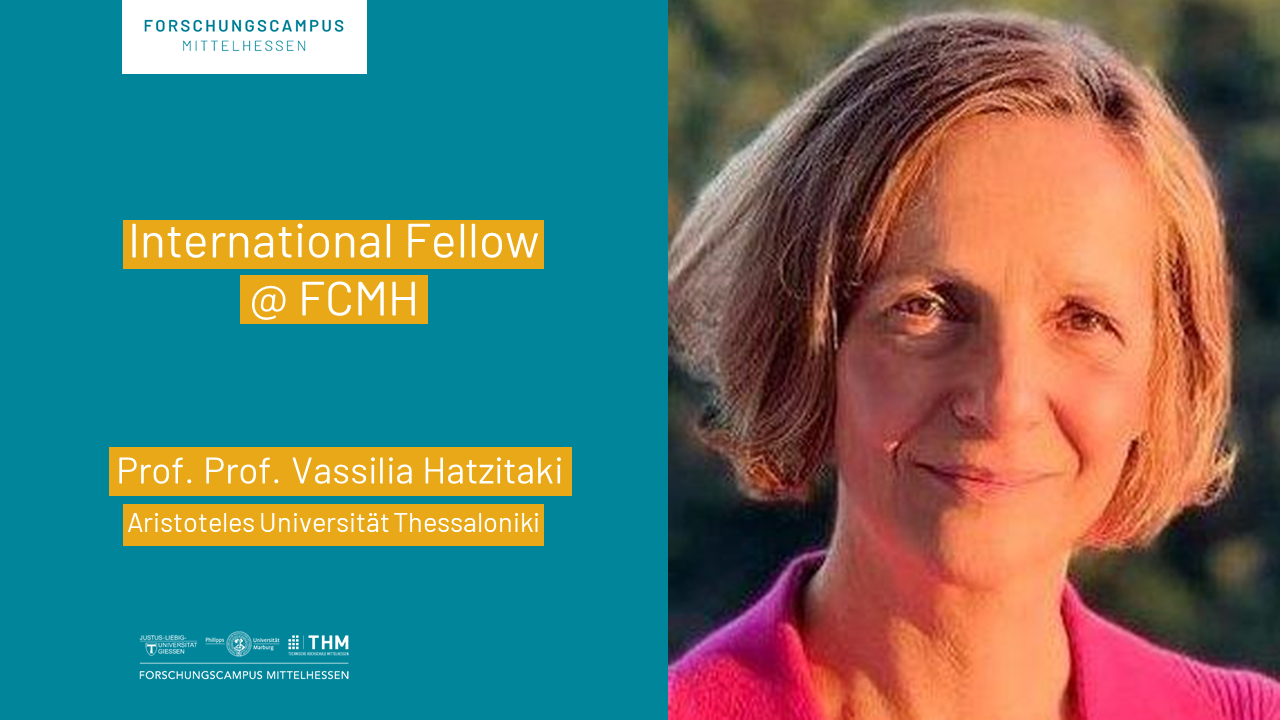 International_Fellow_Hatzitaki.png
