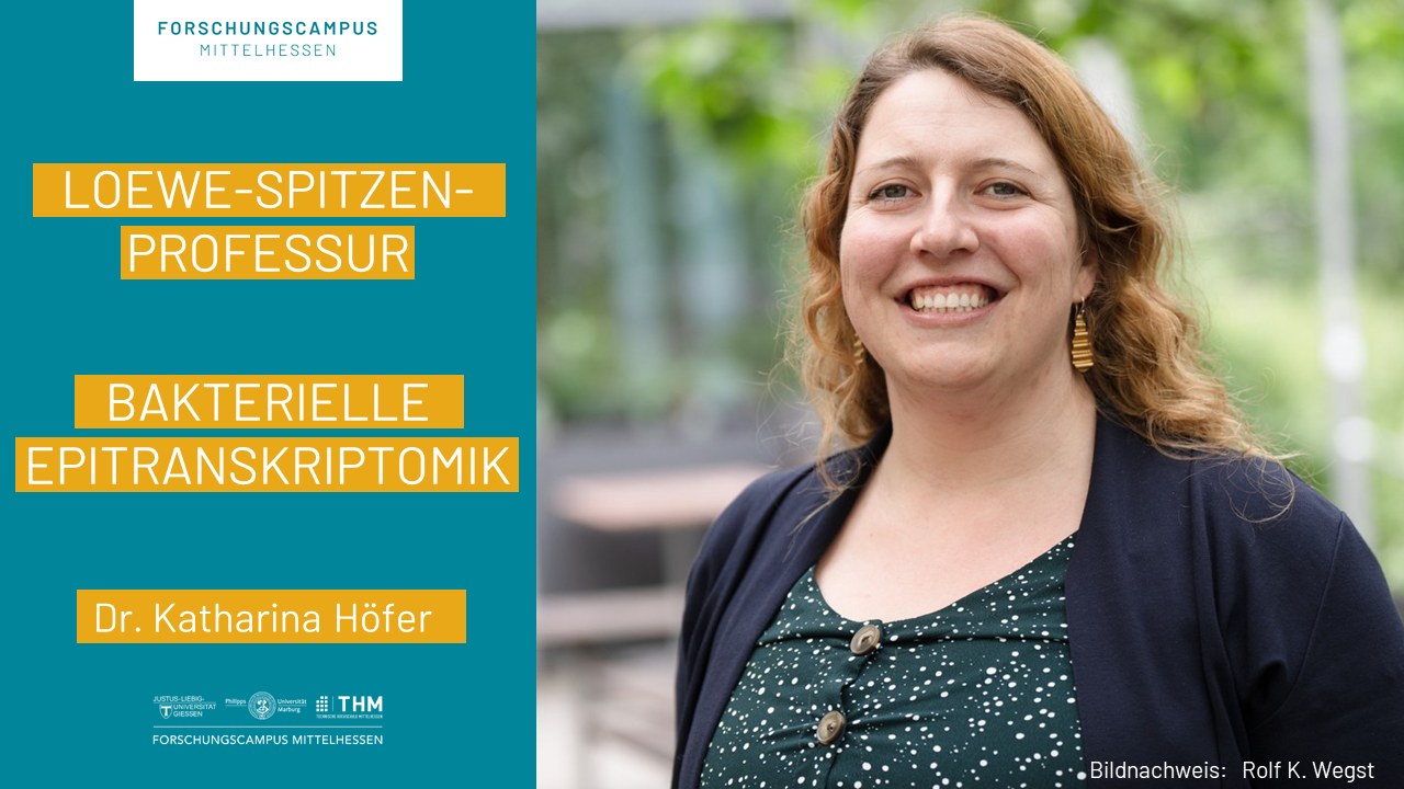 NL_LOEWE-Spitzenprofessur_Hoefer.png