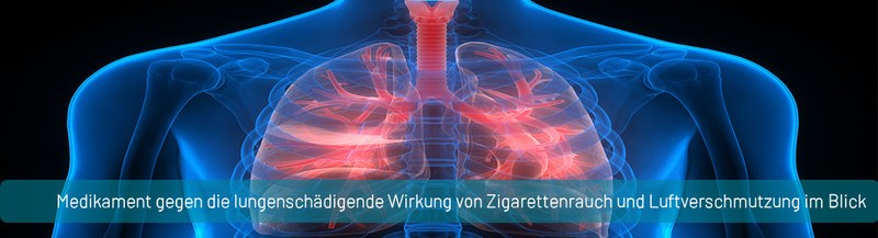 20200609_PM_Herz_Lunge.jpg