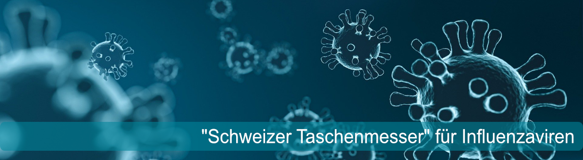 PM_ Schweizer Taschenmesser fuer Influenzaviren2.png