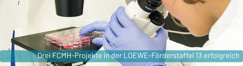 PM_LOEWE13.png