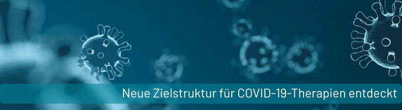 PM_Neue Zielstruktur fuer COVID-19-Therapien entdeckt.jpg