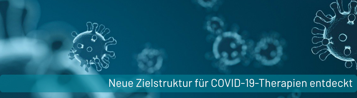 PM_Neue Zielstruktur fuer COVID-19-Therapien entdeckt.jpg