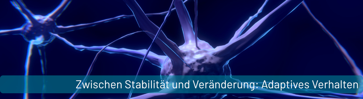 PM_Zwischen Stabilitaet und Veraenderung.jpg