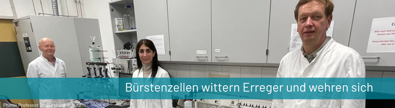 07.03.2022 - Buerstenzellen wittern Erreger und wehren sich.png