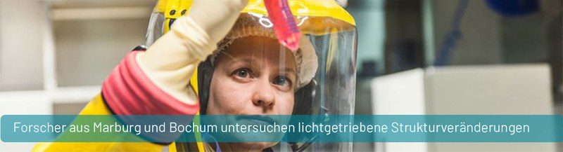 PM_lichtgetriebene_Strukturveraenderungen.jpg