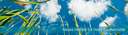 PM_Neues Institut fuer mehr Biodiversitaet.png