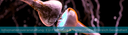Slider_Termin_Informationsveranstaltung_Ko-WI-JLU-PUM_09.11.2022.png