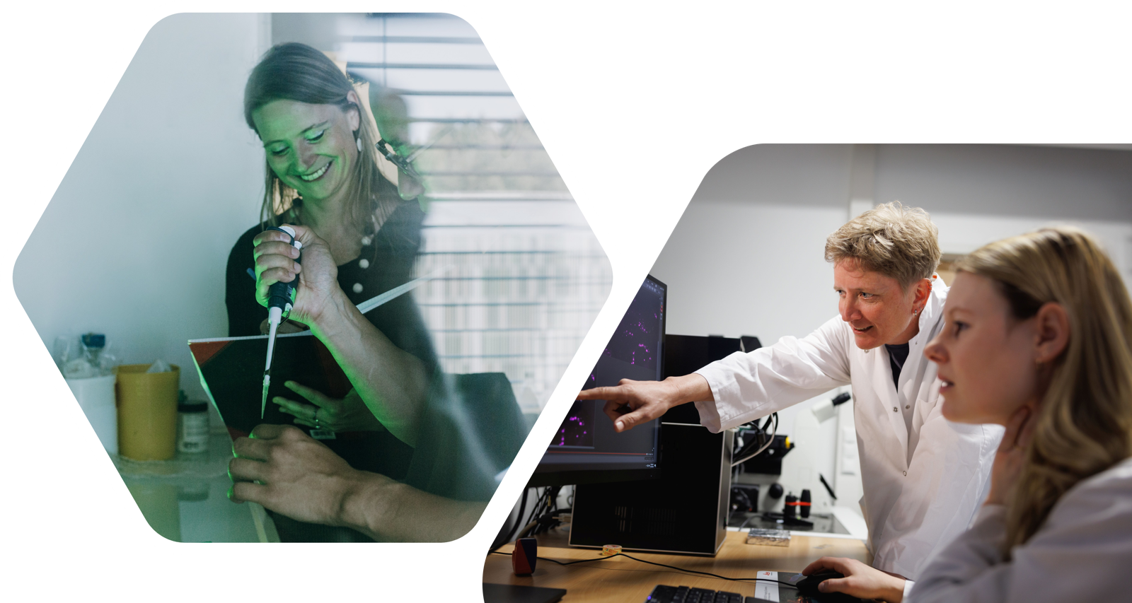 Marburger Forscherinnen erhalten EU-Förderung für innovative Medizin