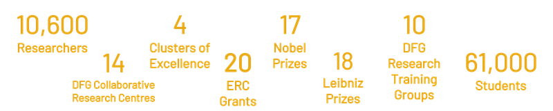 Banner Startseite Englisch